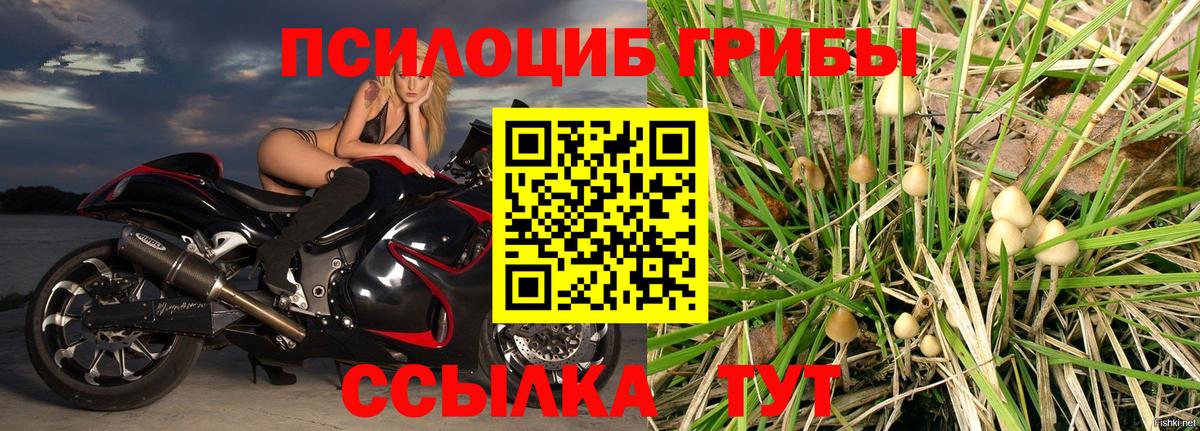 Галлюциногенные грибы Magic Shrooms  Псилоцибиновые грибы мицелий  Вход с VPN  Первоуральск 