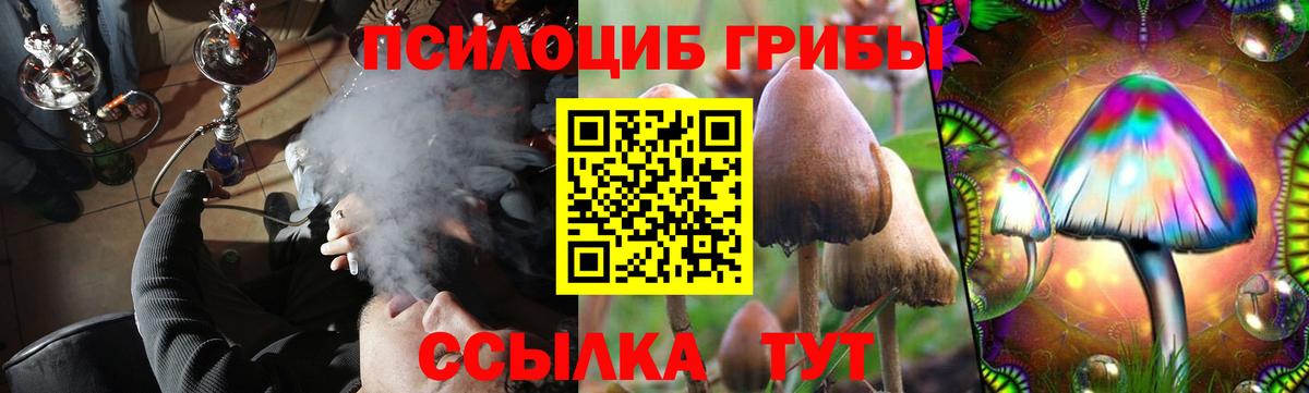 Псилоцибиновые грибы GOLDEN TEACHER Первоуральск
